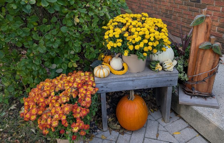 Fall photo of pumpkins, gourds and mums on a bench